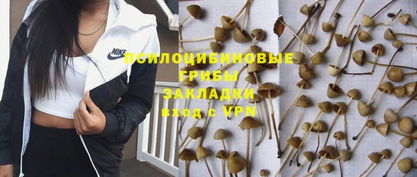 индика Лабытнанги