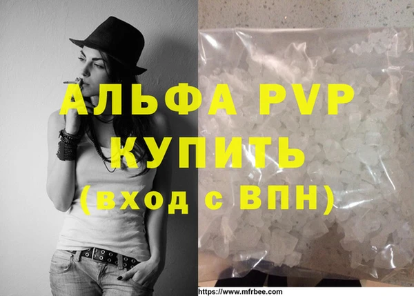 стафф Ладушкин