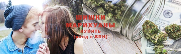 индика Лабытнанги