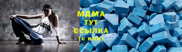 индика Лабытнанги